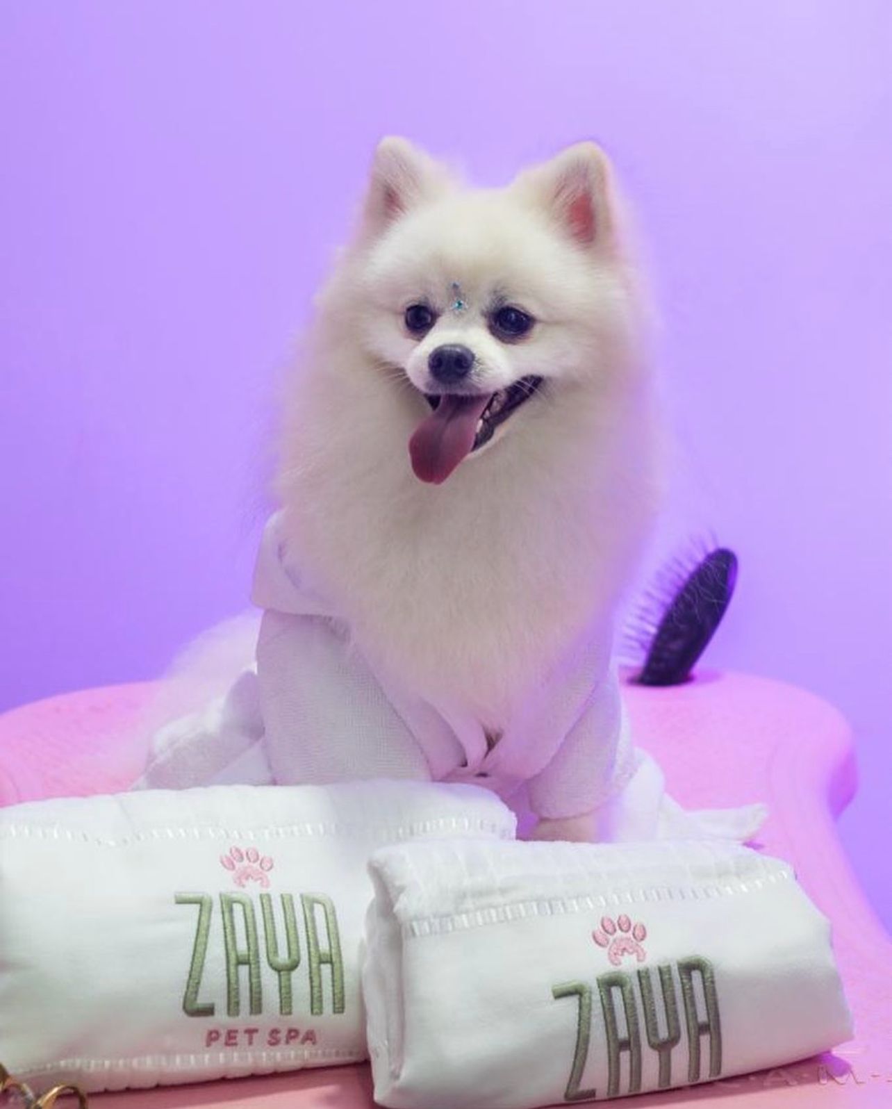 Zaya Pet Spa - cuidado emocional