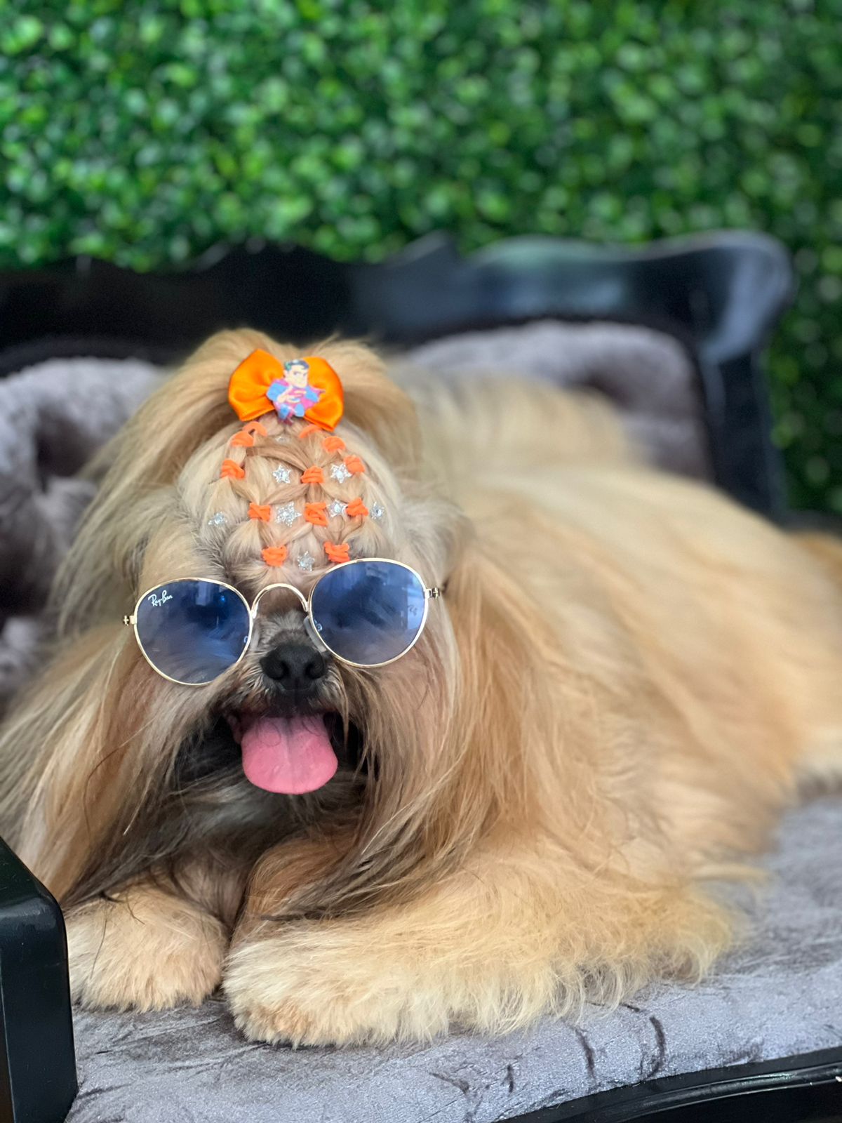 Cuidado premium Zaya